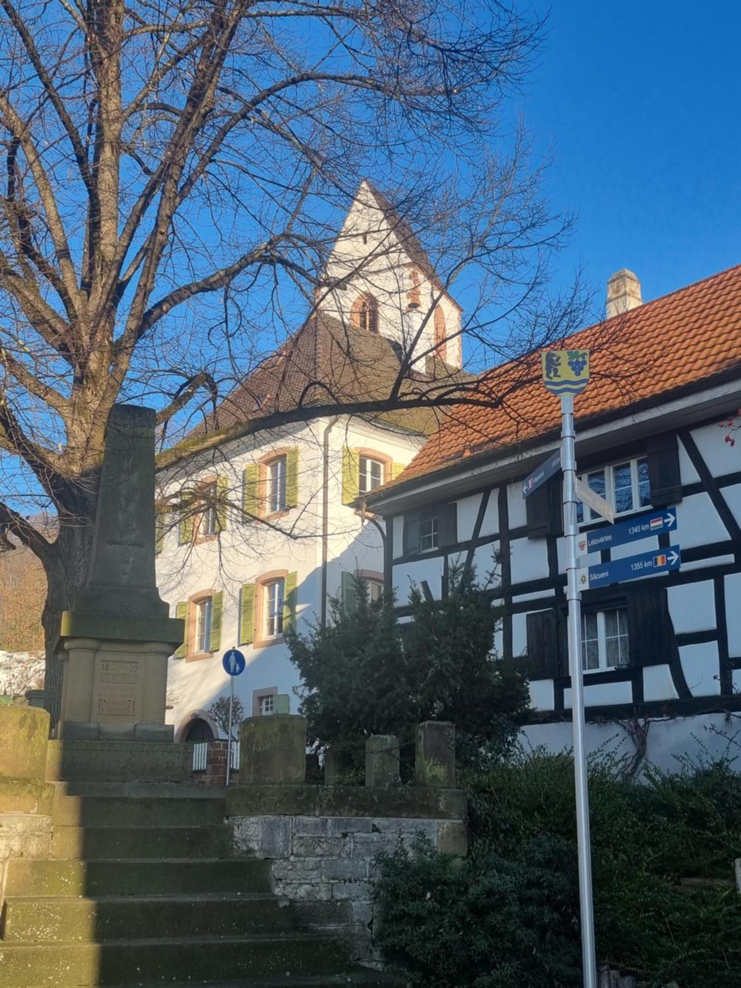 Regio Basiliensis Apartment Grenzach-Wyhlen Luaran gambar